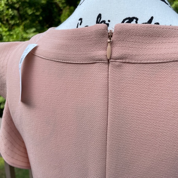 NWT Ann Taylor Loft Pale Pink Peach Ruffle Cap Sleeve Dress Size 4 Wedding Guest - Picture 4 of 6